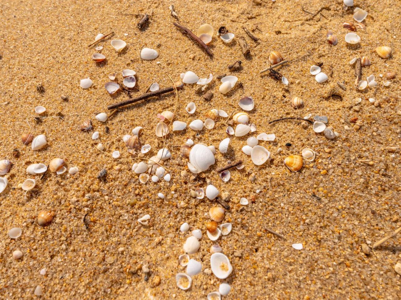 Pousada Pe Na Areia カラグァタトゥバ エクステリア 写真